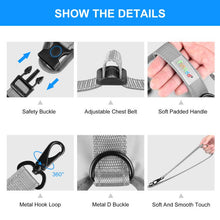 Load image into Gallery viewer, FA3002H_3.jpg@c7ba09935ffc6b4204a12004ea6bafca
