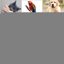 Load image into Gallery viewer, HC07572.jpg@b9646fb186d5399b38dd81c8e5cba72c
