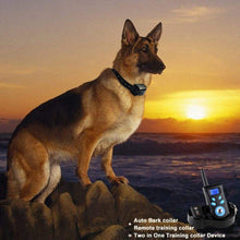 Load image into Gallery viewer, HC2786_14.jpg@ab66f760d4a445a51b61b30f6453e904

