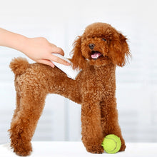 Load image into Gallery viewer, HC3270_11.jpg@ee950426f46ecf74e4f9cc472a7e289c
