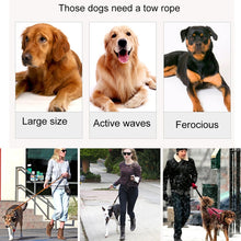 Load image into Gallery viewer, HC6430L_3.jpg@617eed7584e5e80c559e58c21375c927
