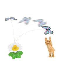 Load image into Gallery viewer, HC6588_6.jpg@1036178162ee1aa1bc392119e3cfe59c

