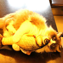 Load image into Gallery viewer, HC6687_8.jpg@29a8da6d714241a775ed171ac2b90126
