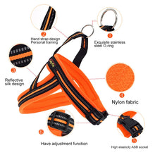 Load image into Gallery viewer, HC8049E_2.jpg@a850fc57a5ec8b68847f242141b19cab
