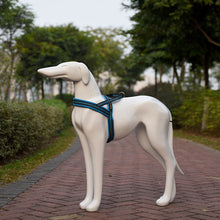Load image into Gallery viewer, HC8050L_6.jpg@6515b0f91a2b998ad246c37108ba8561
