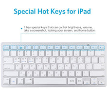 Load image into Gallery viewer, KB0231S_10.jpg@3dcc4ca451dc74a5a9c8427b596493f4
