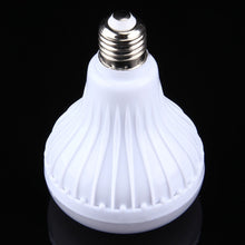 Load image into Gallery viewer, LED1569_3.jpg@2e081617b39eb5e7b3de6170c7218e1f
