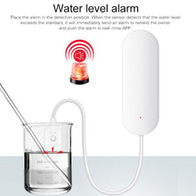 Load image into Gallery viewer, MDC0106_5.jpg@126481272e91a701f08754760d1989bb
