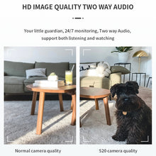 Load image into Gallery viewer, NC0399_B3.jpg@9ac6cd719fde5feed9a2bc33349bbe40
