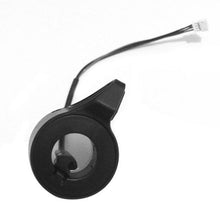 Load image into Gallery viewer, OG1670_3.jpg@9be6cf9559f6221d16fc3e0430ab4227
