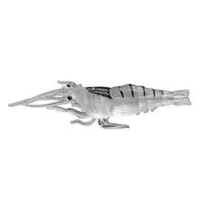 Load image into Gallery viewer, OG2122T_1.jpg@b5a50e3f038827acf8f56324f4bdf409
