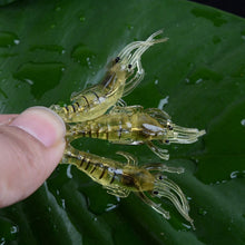 Load image into Gallery viewer, OG2122T_5.jpg@daff103910d13b1b640b08b956f29185
