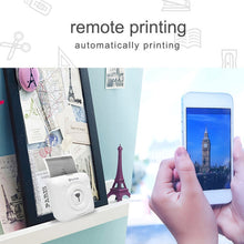 Load image into Gallery viewer, PC0315F_8.jpg@d9ed5857971fd6ccc05cb8845666b748
