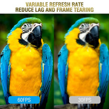 Load image into Gallery viewer, PC2403_4.jpg@86f095ccce9a8de39206e16b427e7f21
