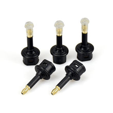 Load image into Gallery viewer, PC3156_1.jpg@67375f40a747f7c0976106c5df528d56
