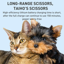 Load image into Gallery viewer, PSP0170W_3.jpg@1dda3de952a5f153267cfb010c1c6de7
