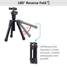 Load image into Gallery viewer, PU3001_6.jpg@6bef563075c09b7c12901a092c97d5ab
