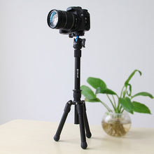 Load image into Gallery viewer, PU3008_9.jpg@a303bcacc971b71adbc924a994fcc21f
