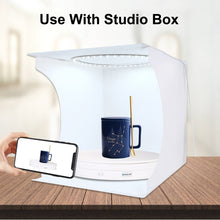 Load image into Gallery viewer, PU3049W_6.jpg@9b8d40216b38e634823e866027aeec73
