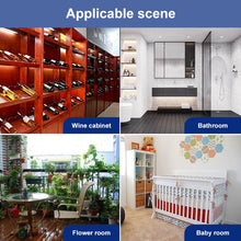 Load image into Gallery viewer, S-CA-1170_8.jpg@d578a0657af80dbfd1c7271b4fe24065
