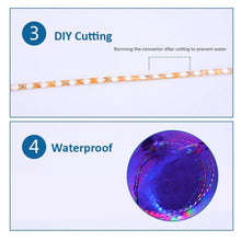 Load image into Gallery viewer, S-CMS-0459R_5.jpg@7c9a14c59d1dae93d7720060cf55622c
