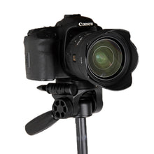 Load image into Gallery viewer, S-DCA-0061_4.jpg@23c3229b8b286cf6f6321ac56f7b3dec
