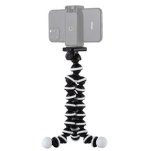Load image into Gallery viewer, S-DCA-0110_6.jpg@6937a9273c1dcd747ad49897e2569f9c
