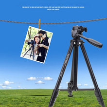Load image into Gallery viewer, S-DCA-0130_9.jpg@75ab4ad71eccbcd737676e49eb622e2b
