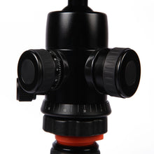 Load image into Gallery viewer, S-DCA-0420A_4.jpg@4bb22c8c6eb5644c2762c68d926d55f6
