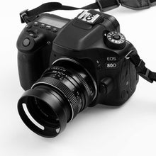 Load image into Gallery viewer, S-DLH-0117_5.jpg@d872949d1a69a54e45d182df56ca33a7
