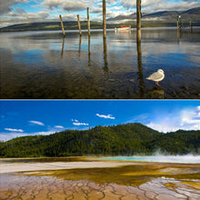 Load image into Gallery viewer, S-DLP-3952_6.jpg@5be5acd49648a6fac903baaf264cec50
