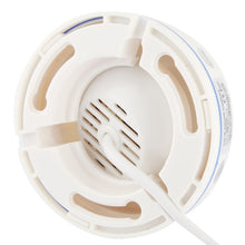 Load image into Gallery viewer, S-SPC-0249_4.jpg@b9dcbd0f73c3a72cdeb0ebaaae5a7394
