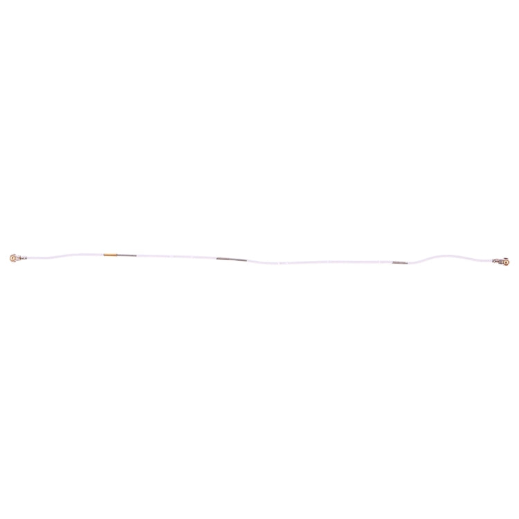 SP2809.jpg@451df3783f3662523df7154acba70d1f