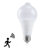 Load image into Gallery viewer, SYA0014070.jpg@6bb29df59e7e8ffe9395f365aca58ea7
