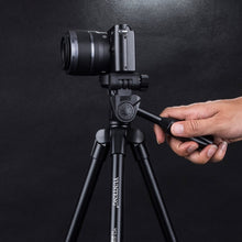 Load image into Gallery viewer, SYA0016833_6.jpg@2e73dad07902671efad9f25815468e10
