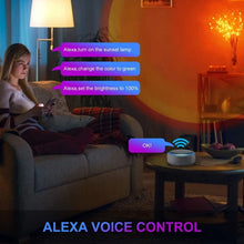 Load image into Gallery viewer, SYA0021237_3.jpg@13c40cc454f92bad564998d5d33083f3
