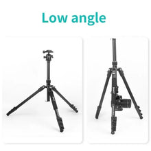 Load image into Gallery viewer, SYA0023076_3.jpg@d8567a8c03f9f68dd300c3b2585ac432

