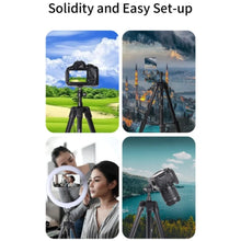 Load image into Gallery viewer, SYA0023081_3.jpg@92bb1c10a8d53b8e4d24d37f80e038f8
