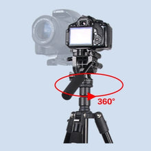 Load image into Gallery viewer, SYA0025723_7.jpg@a8bb617383e6d63c760e8166ff050c68
