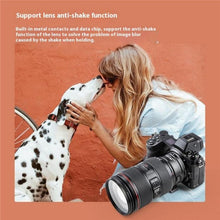 Load image into Gallery viewer, SYA0028937_6.jpg@4ee0b7ffaba2f7088342c39ea993f5dd
