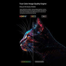 Load image into Gallery viewer, SYA0034193_B6.jpg@c8ed3f20797b112b16f804cb0b51c40e
