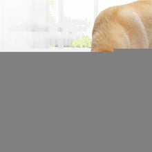 Load image into Gallery viewer, TBD0190765202A.jpg@d9489ac543a5e7d781f65a033b04636f
