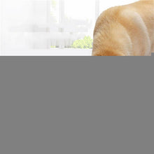 Load image into Gallery viewer, TBD0190765202C.jpg@081ea7337ba47133d1001928ec406446
