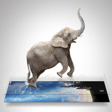 Load image into Gallery viewer, TBD0223412301_4.jpg@0734403b78024567ec93fe00f4272fb1
