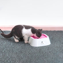 Load image into Gallery viewer, TBD0371587701D_4.jpg@f0eb99305ac7f6a355f1965cf0fb7036
