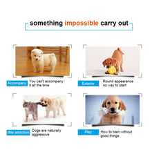 Load image into Gallery viewer, TBD0381664202B_3.jpg@5909566b20b703810a299eb48630cb76
