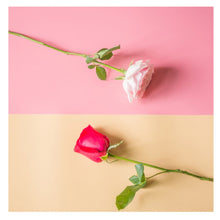 Load image into Gallery viewer, TBD0420527901G_4.jpg@e0d758cd7472be00f2f713ca049aa416
