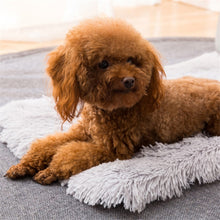 Load image into Gallery viewer, TBD0420876004B_4.jpg@7a2d86909c56d86446021ba7b676c7b2
