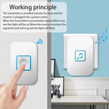 Load image into Gallery viewer, TBD0424524103_B3.jpg@93f0f4519ec83b4cb18f09eb1f123e9d
