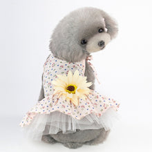 Load image into Gallery viewer, TBD0425762103B.jpg@069d7b6981b4e89af9abff1a680d1813
